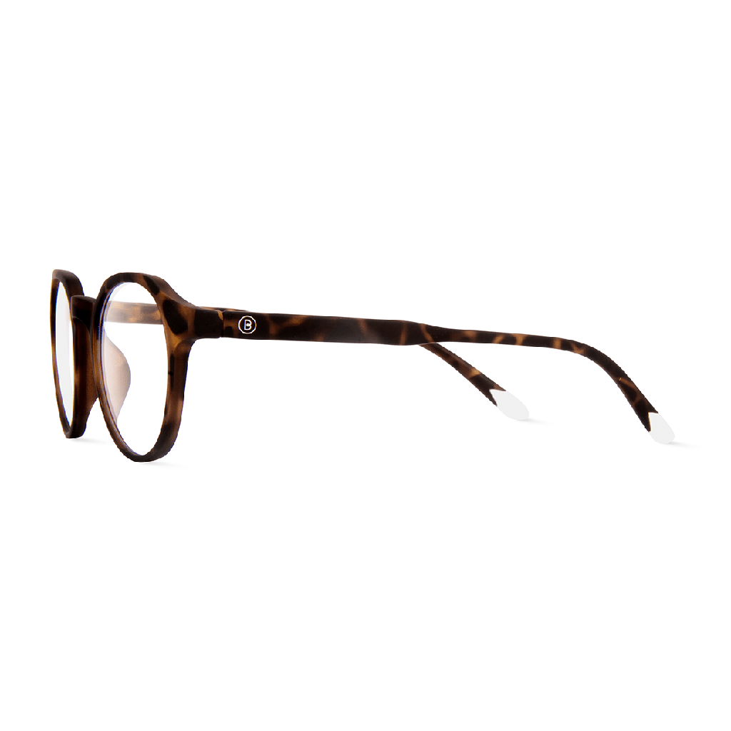 Barner Le Marais Computer Glasses - Tortoise