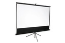 HAVIT projector screen PS100E