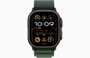 Watch Ultra 2 GPS + Cellular 49mm Black Titanium with Dark Green Alpine Loop – Large