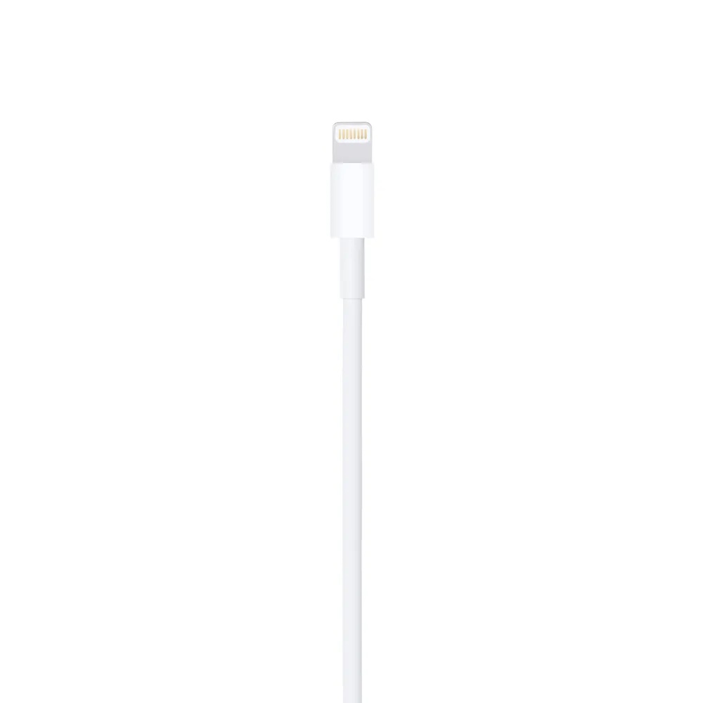 Apple Lightning to USB Cable 2M