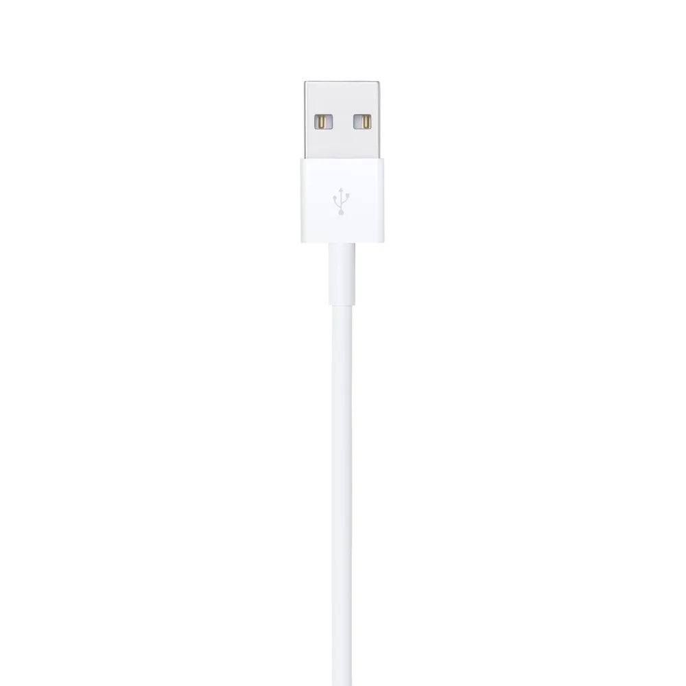 Apple Lightning to USB Cable 2M