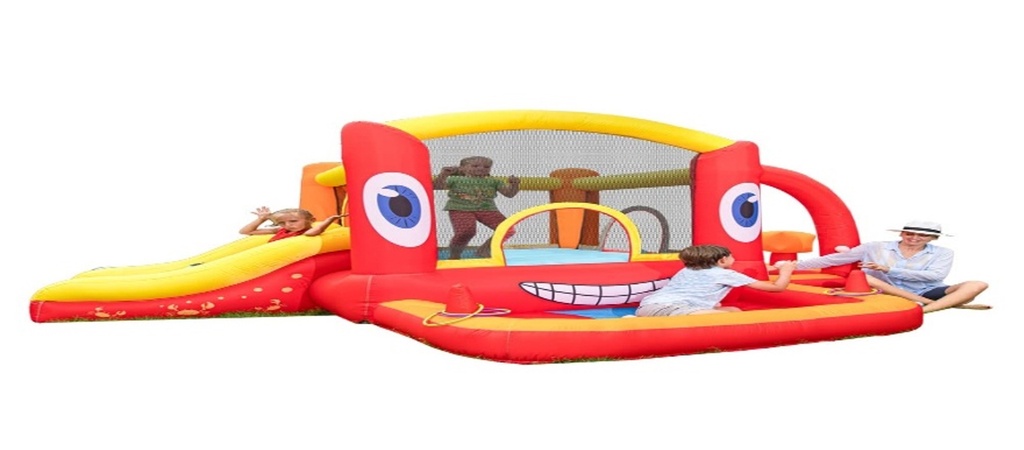 DR. DOLPHIN CRAB BOUNCE HOUSE WITH SLIDE - 95x295x195CM